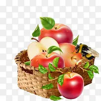 苹果篮子-空若网 苹果篮子-空若网
