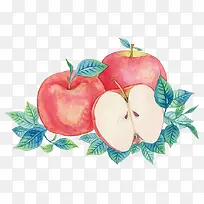 ˮ��ƻ��-������