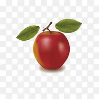 �ֻ�ƻ��-������