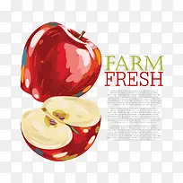 矢量红苹果-空若网 矢量红苹果-空若网