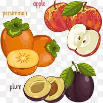 矢量卡通水果素材-空若网 矢量卡通水果素材-空若网