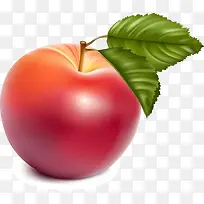 水果-空若网 水果-空若网