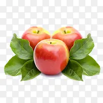 红苹果叶子水果-空若网 红苹果叶子水果-空若网