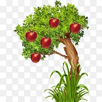 手绘苹果树-空若网 手绘苹果树-空若网