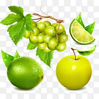 水果-空若网 水果-空若网