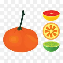 手绘水果-空若网 手绘水果-空若网