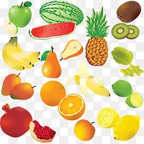 蔬菜水果萝卜-空若网 蔬菜水果萝卜-空若网