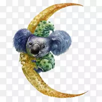 袋熊画水彩画澳大利亚-考拉-空若网 袋熊画水彩画澳大利亚-考拉-空若网
