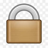 �������������Կ���Ź���-������