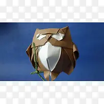 ���⾫Ʒ��ֽװ��-������