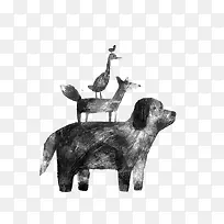 动物-空若网 动物-空若网