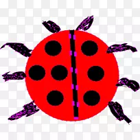 昆虫品红紫瓢虫-空若网 昆虫品红紫瓢虫-空若网