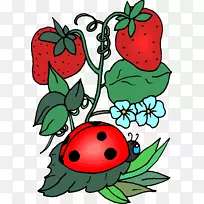 昆虫瓢虫蜂夹艺术-瓢虫-空若网 昆虫瓢虫蜂夹艺术-瓢虫-空若网