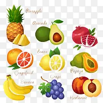 多种水果装饰-空若网 多种水果装饰-空若网