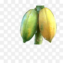 水果木瓜-空若网 水果木瓜-空若网