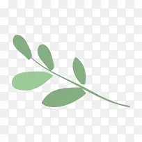 ��ͨ��Ҷ-������