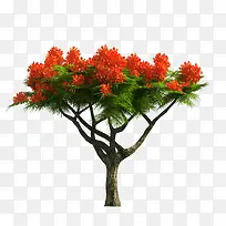 树木-空若网 树木-空若网