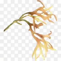 花草-空若网 花草-空若网