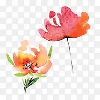 水彩植物-空若网 水彩植物-空若网