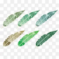 Ë®²ÊÊÖ»æÖ²Îï-¿ÕÈôÍø Ë®²ÊÊÖ»æÖ²Îï-¿ÕÈôÍø