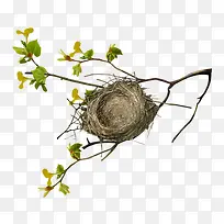 ��֦����-������