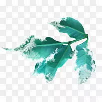 ʥ��ѩ�˼���������-������