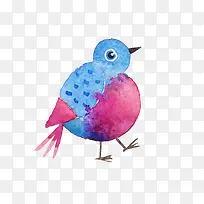 卡通小鸟-空若网 卡通小鸟-空若网