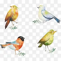 手绘水彩小鸟-空若网 手绘水彩小鸟-空若网