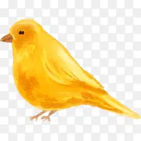 ˮ�ʶ����ɫС��-������