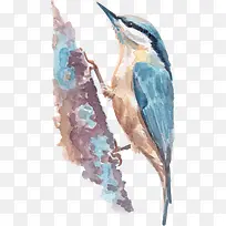 卡通可爱小动物装饰动物头像-空若网 卡通可爱小动物装饰动物头像-空若网