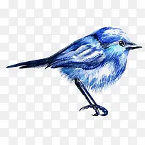 ��ͨ�ɰ�С����װ�ζ���ͷ��-������