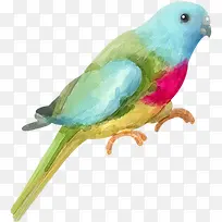 �ɰ���ͨ�ֻ���-������