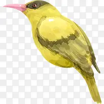 �ɰ���ͨ�ֻ�С��-������