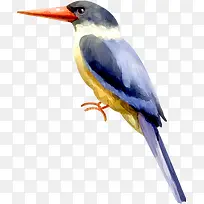 可爱卡通小鸟-空若网 可爱卡通小鸟-空若网