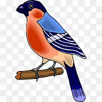 �ֻ濨ͨС��-������