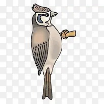 矢量啄木鸟素材-空若网 矢量啄木鸟素材-空若网