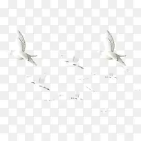 ��ɫ�ֻ濨ͨС��Ÿ-������