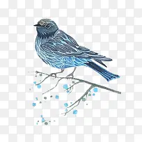 手绘水彩小鸟-空若网 手绘水彩小鸟-空若网