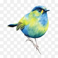 ʸ����ɫС��-������