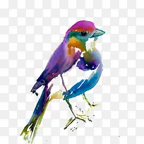 水彩鸟-空若网 水彩鸟-空若网