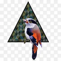 ʸ��С��-������