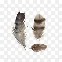 卡通黑色羽毛-空若网 卡通黑色羽毛-空若网