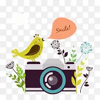 照相的小鸟-空若网 照相的小鸟-空若网