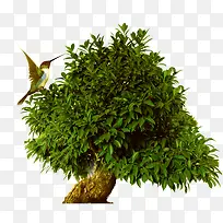 ����Ϸ��-������