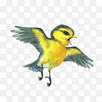 ��ͨС��-������