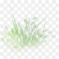 手绘小草叶子-空若网 手绘小草叶子-空若网