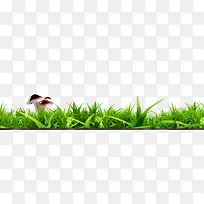 ²Ý´Ô-¿ÕÈôÍø ²Ý´Ô-¿ÕÈôÍø