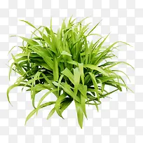 С�� �ݴ�-������