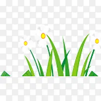 白色小花草丛-空若网 白色小花草丛-空若网