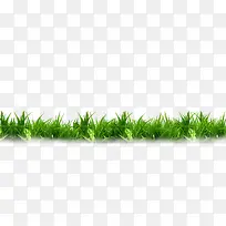 草丛-空若网 草丛-空若网